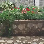 Apartments Draga