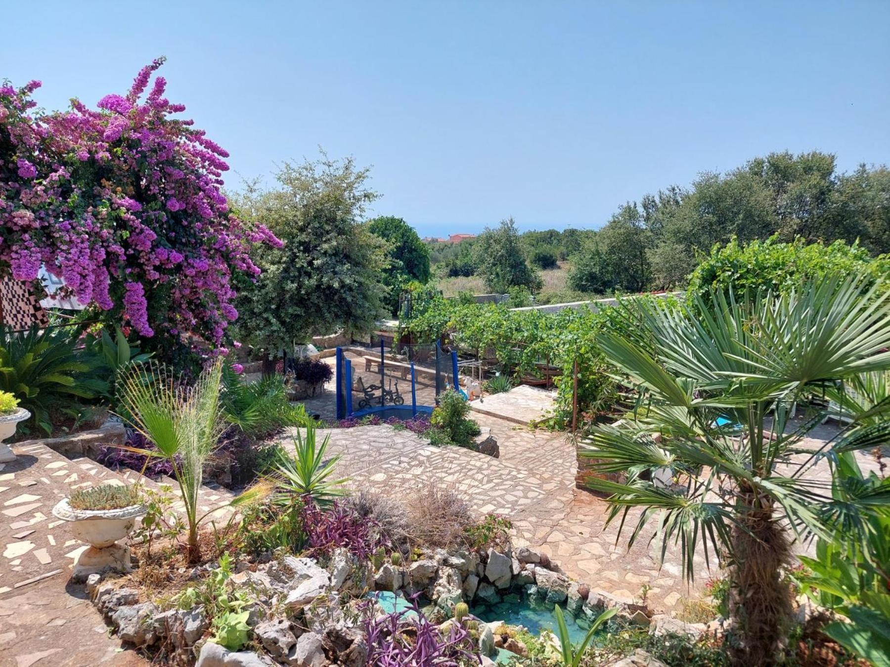 Apartment Draga Budva