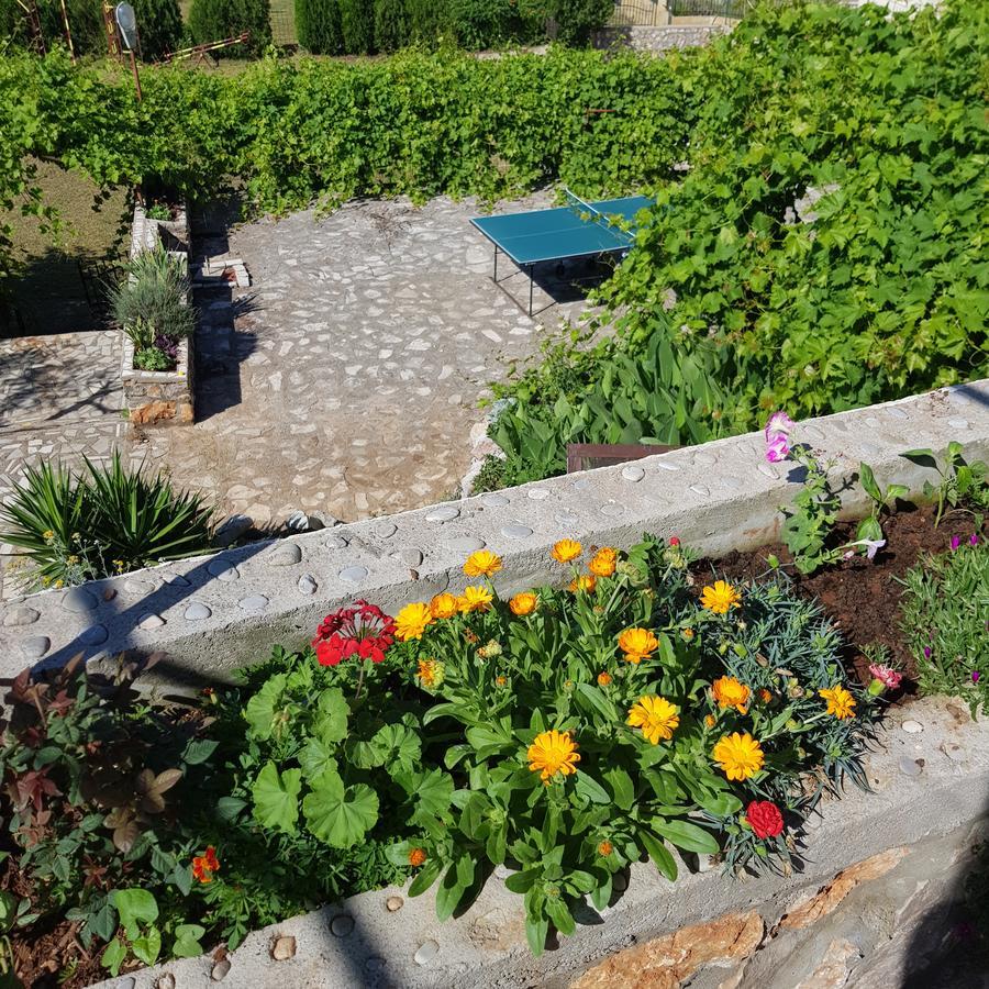 Draga Apartment Budva